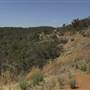 John Forrest National Park