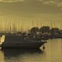 Swan River