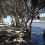 Nanarup Beach & Road