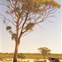 Wheatbelt Region