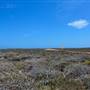 Abrolhos Islands - East Wallabi