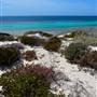 Abrolhos Islands - East Wallabi