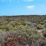 Abrolhos Islands - East Wallabi