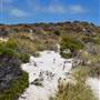 Abrolhos Islands - East Wallabi