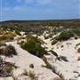 Abrolhos Islands - East Wallabi