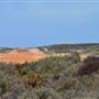 Abrolhos Islands - East Wallabi