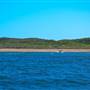 Garden Island - Goodwin Point - from water