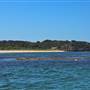 Garden Island - Calista Point - from water