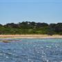 Garden Island - Calista Point - from water