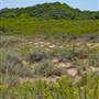 Garden Island - Old Quarry