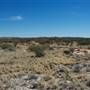 Mount Magnet landscapes