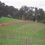 Jarrah Jacks Brewery & WoodSmoke Estate Wines
