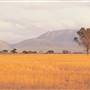 Stirling Range National Park