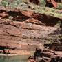 Karijini National Park - Dales Gorge