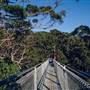 Valley of the Giants