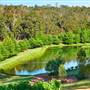 Millbrook Winery