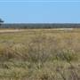 Broome Surrounds-Roads & Scrub