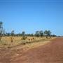 Derby - road from Broome to Derby