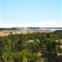 Pinnacles - Nambung National Park