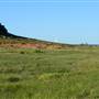 Karratha Surrounds - Pilbara