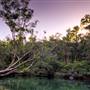Nannup -St John Brook Conservation Park