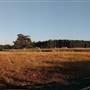 Witchcliffe - Redgate Forest Retreat