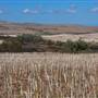 Chapman Valley