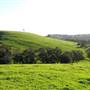 Nannup - Xmas Brook Farm