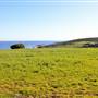 Injidup Beach & Cape Clairault