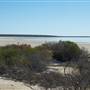 Shark Bay