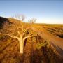Tunnel Creek National Park