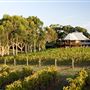 Vasse Felix Vineyard