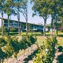 Howard Park Wines