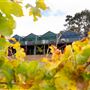 Little Hill Farm Bridgetown