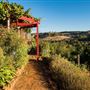 Little Hill Farm Bridgetown