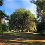 Lewana Cottages
