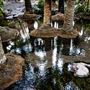 El Questro - Zebedee Springs