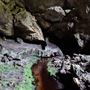 Mammoth Cave