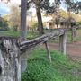 Fairbridge Village, Pinjarra