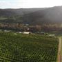 The Orchard Perth Pty Ltd
