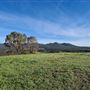 Craigendarroch, Porongurup