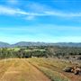 Craigendarroch, Porongurup