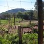 Hope Farm