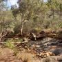 Lesmurdie Falls