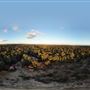 Dwellingup