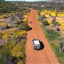 Coleseam Conservation
