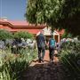 Rose Garden at Edenvale Homestead