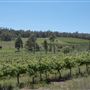 Bickley-Carmel Valley
