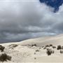 Lancelin