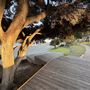 Cottesloe Beach